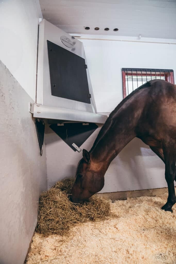 En häst äter vid Höautomaten inne i ett stall.