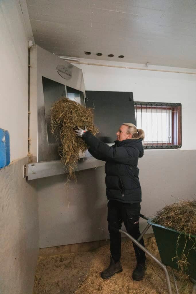 Josefine fyller höautomaten med hö.